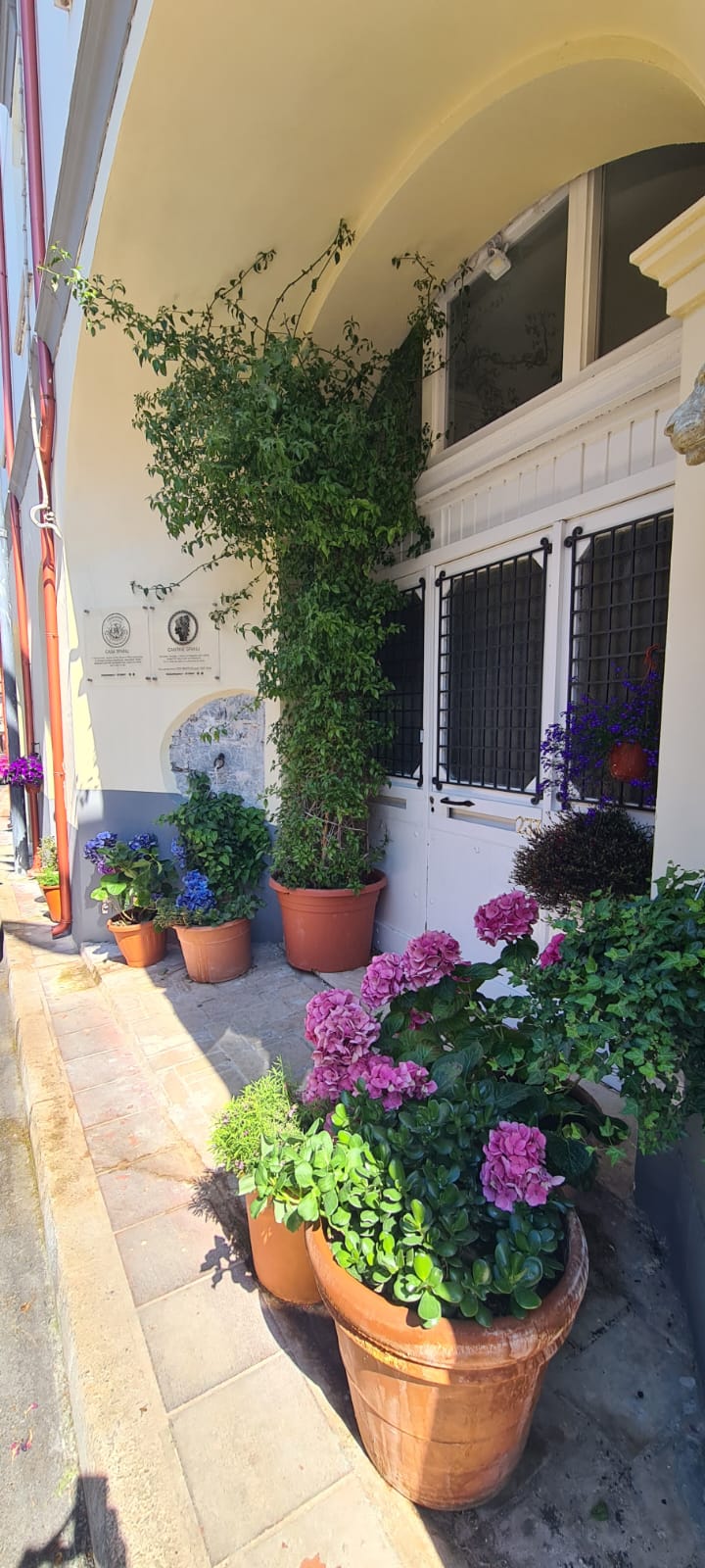 Casa Spanu - foto 46